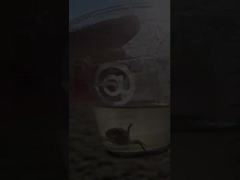 50mm 400mm 300mm 탄소 강철 플랜지 환기 나비 밸브