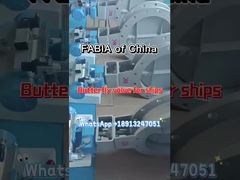 중국 FABIA 배용 나비 밸브